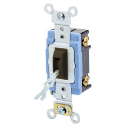 Old Leviton Single Pole Two Switch Button
