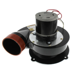 boppmm 66781 - Packard 66781 - Draft Inducer, Rheem Replacement (115 V)