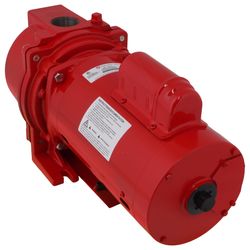 97102001redlionpumps02.jpg