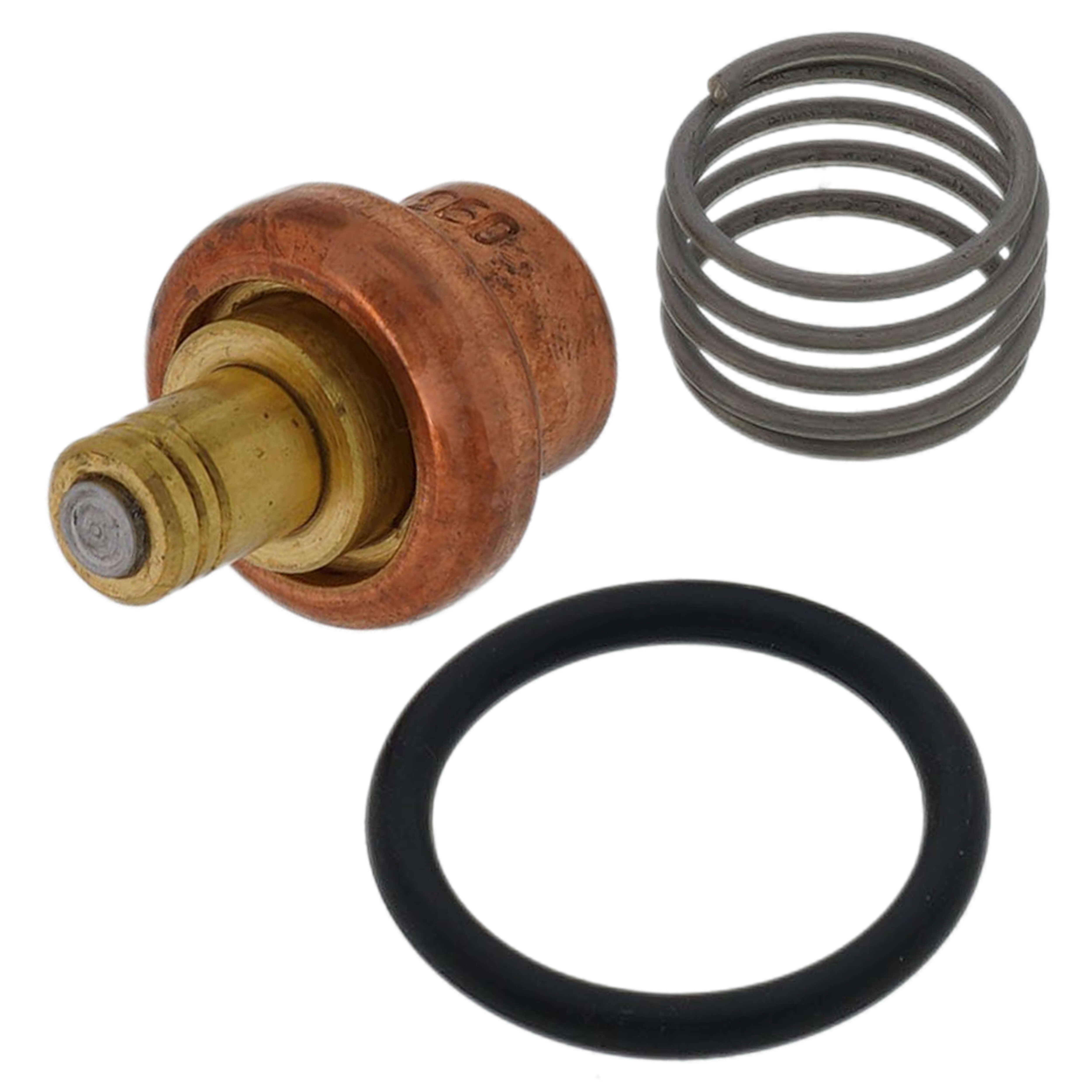 ​【唯一無二】Westone W60 Wet Relic ダンパー換装 純正無線 0125130 - Watts 0125130 - Repair Kit for Watts 70A Series Low Temp