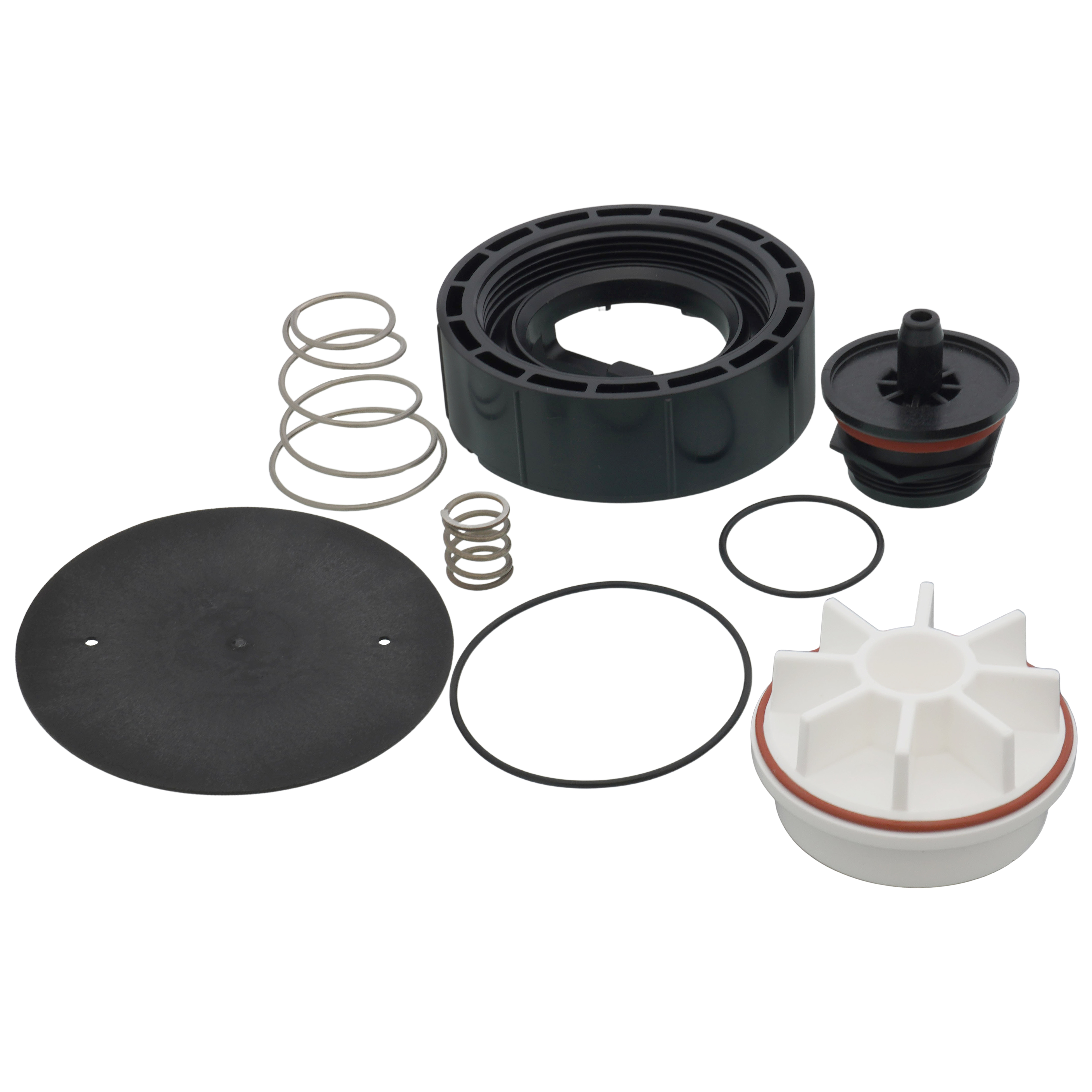 0887729 - Watts 0887729 - RK 800M4, Total Rebuild Kit for 800M4