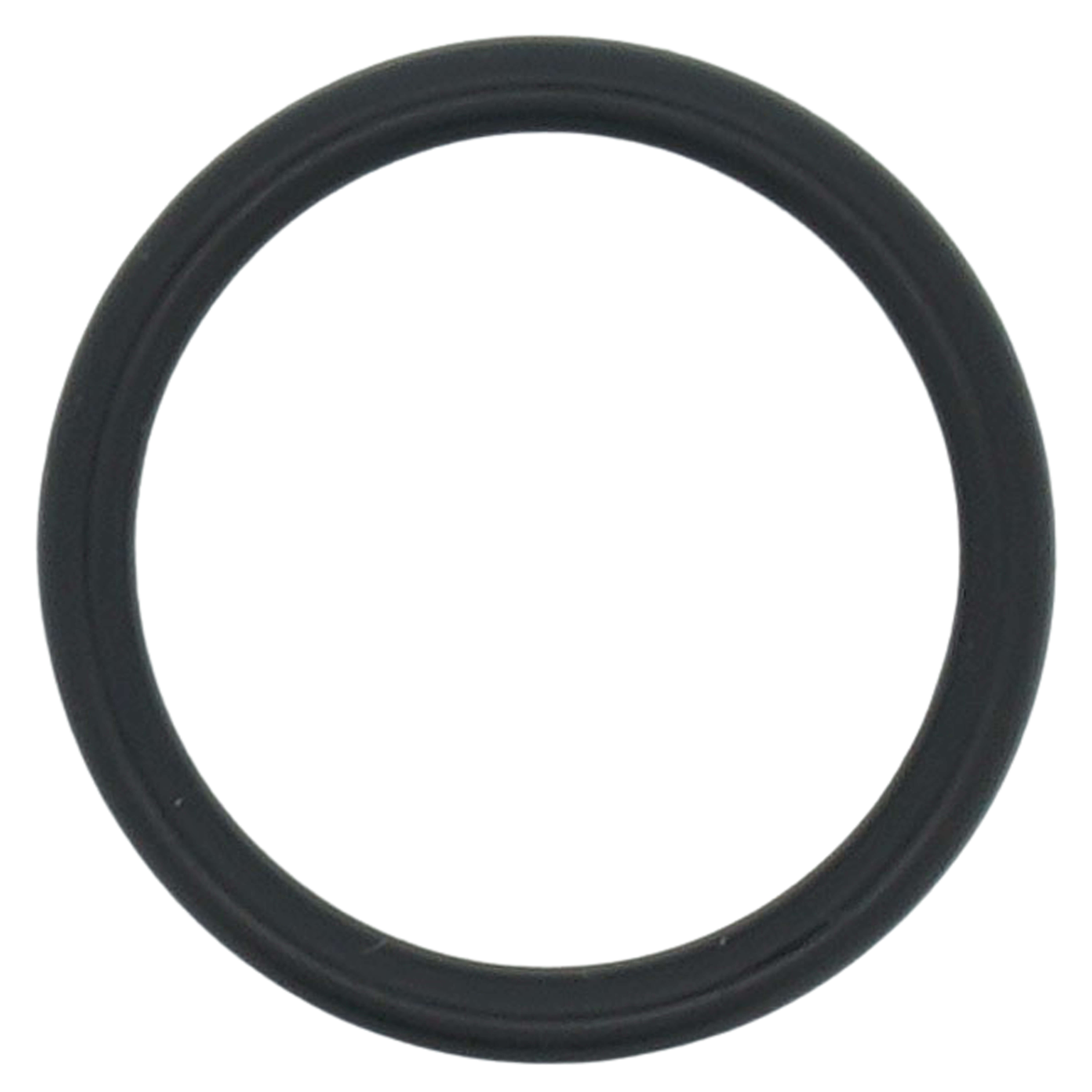 100074533 - AO Smith 100074533 - Kit, O-ring, P18, Nbr, 100074533