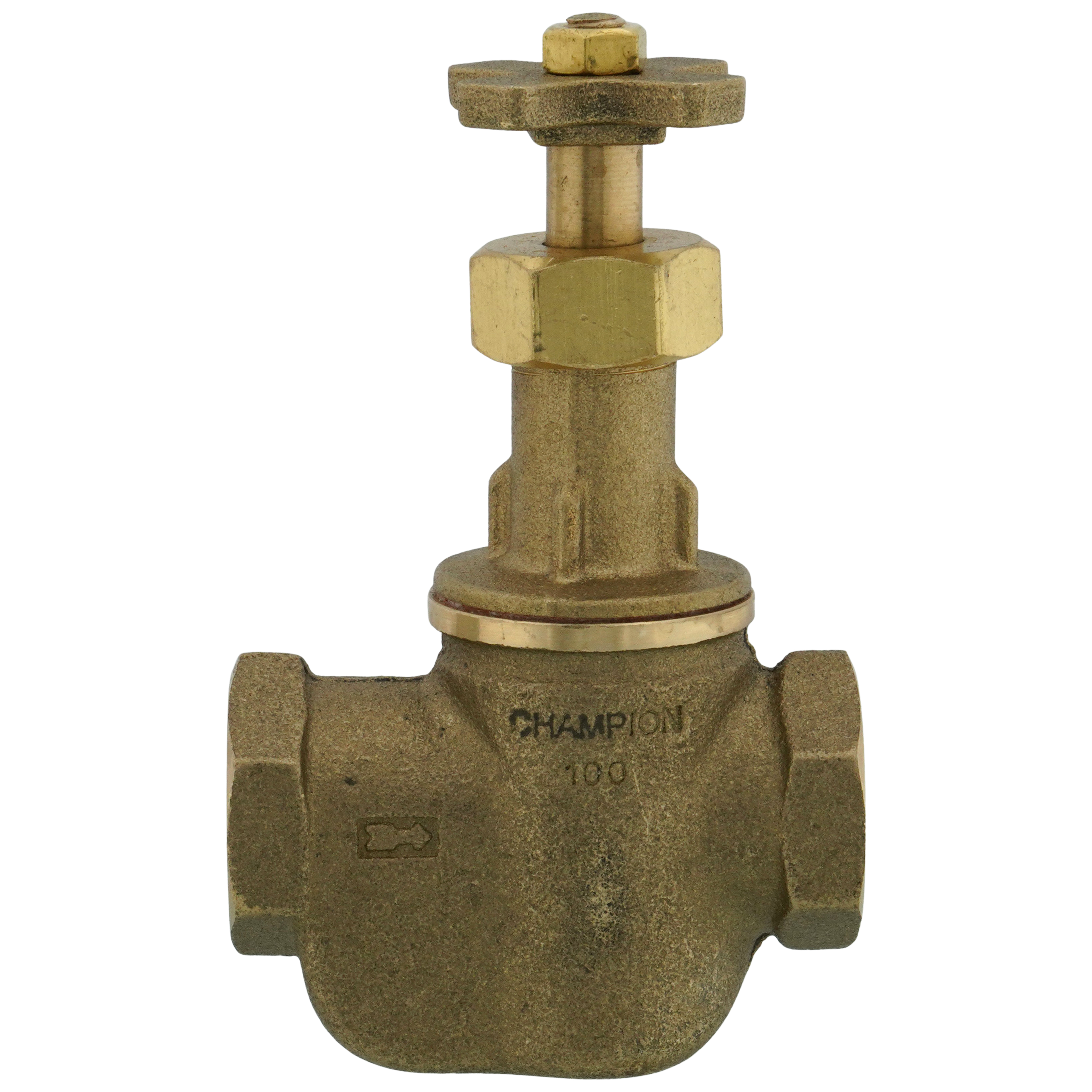 Champion Vacuum Breakers - SupplyHouse.com