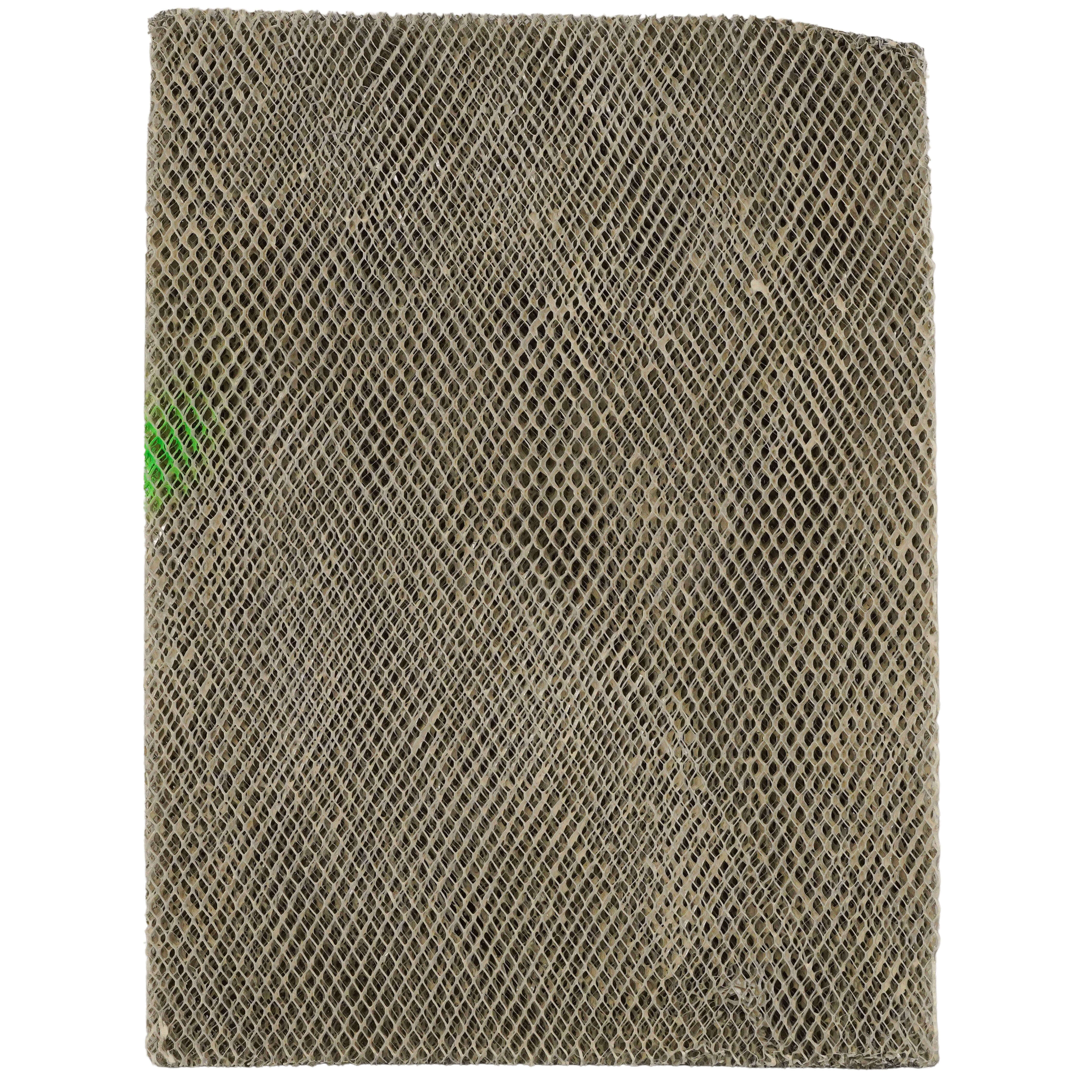 Deumidificatore Casa,Doppio Semiconduttore,Telecomando,Serbatoio Dell