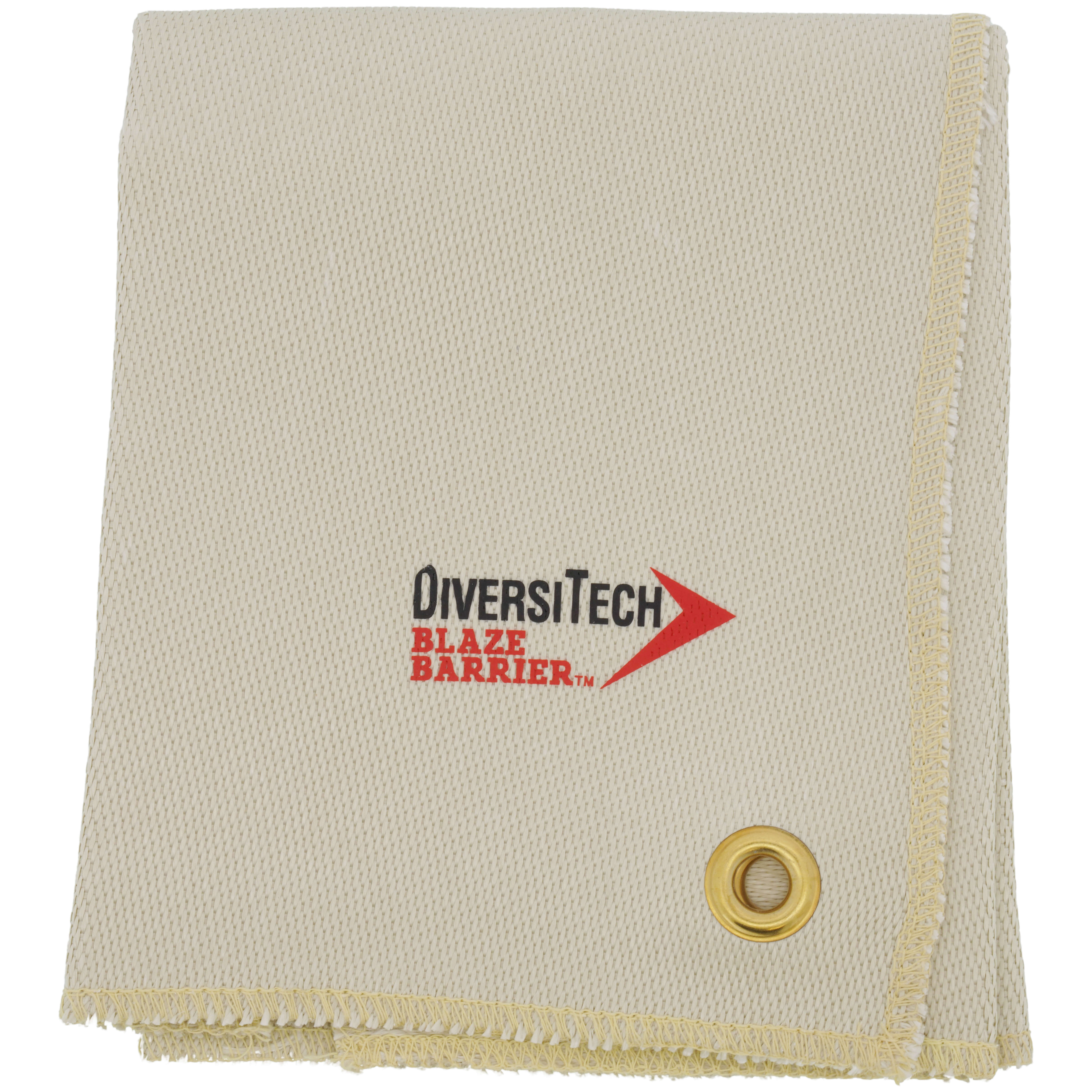 16510-DIVERSITECH-2.JPG