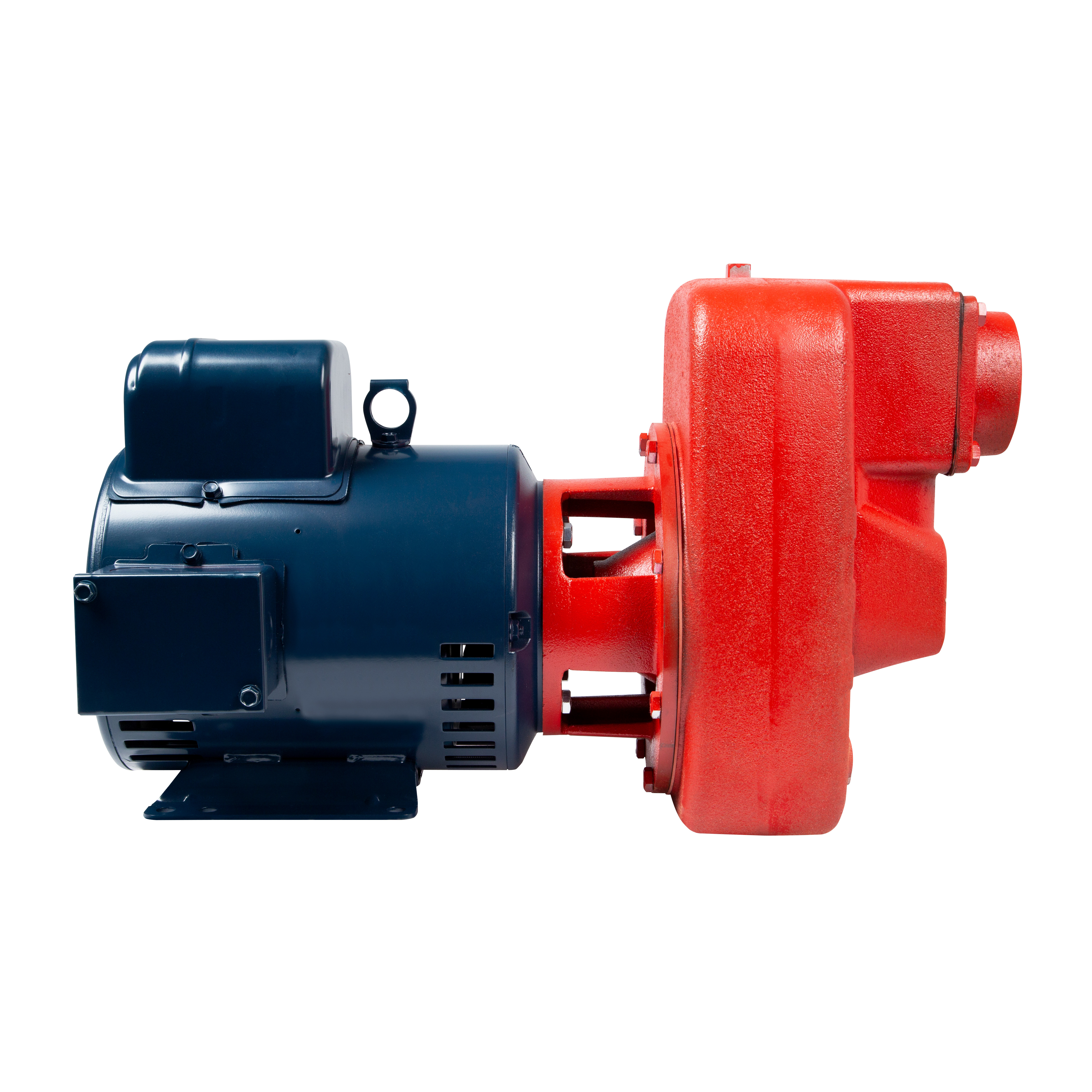 614481 - Red Lion Pumps 614481 - RLHE-300 230V, 3 HP, 124 GPM Cast