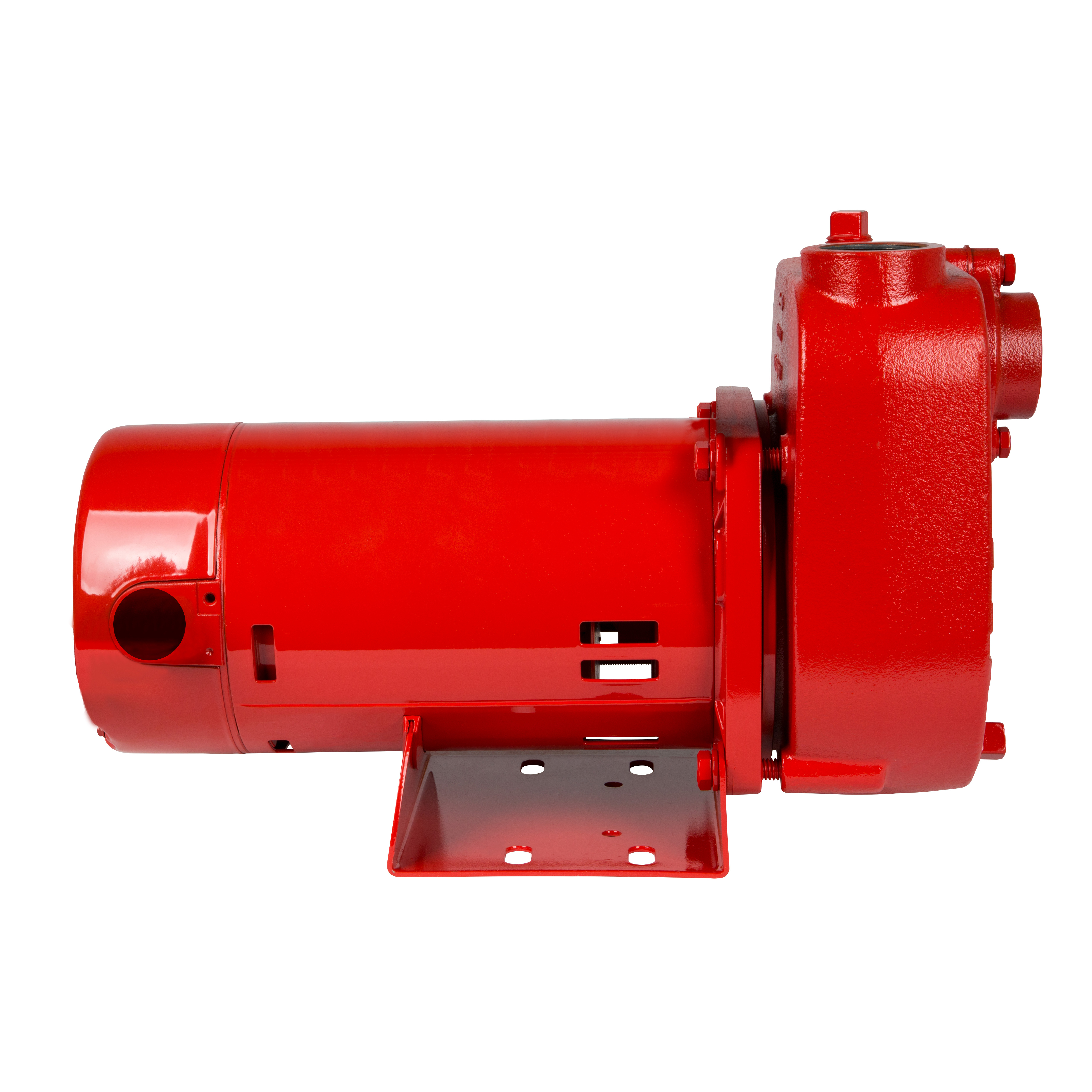 621810 - Red Lion Pumps 621810 - RL-S50 115/230V, 1/2 HP, 2940 GPH