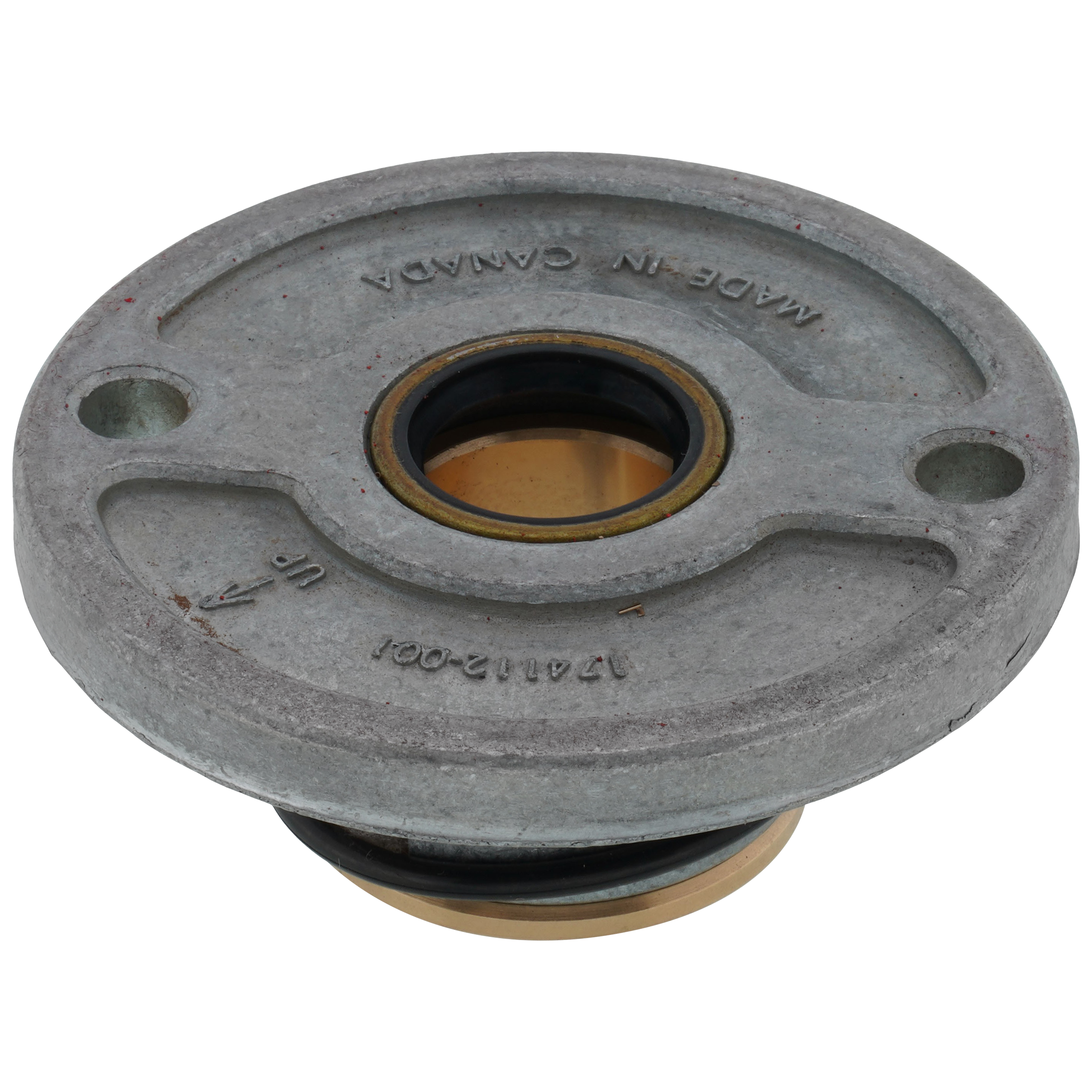 116487-132 - Armstrong Pumps 116487-132 - H-65 BF Cast Iron In