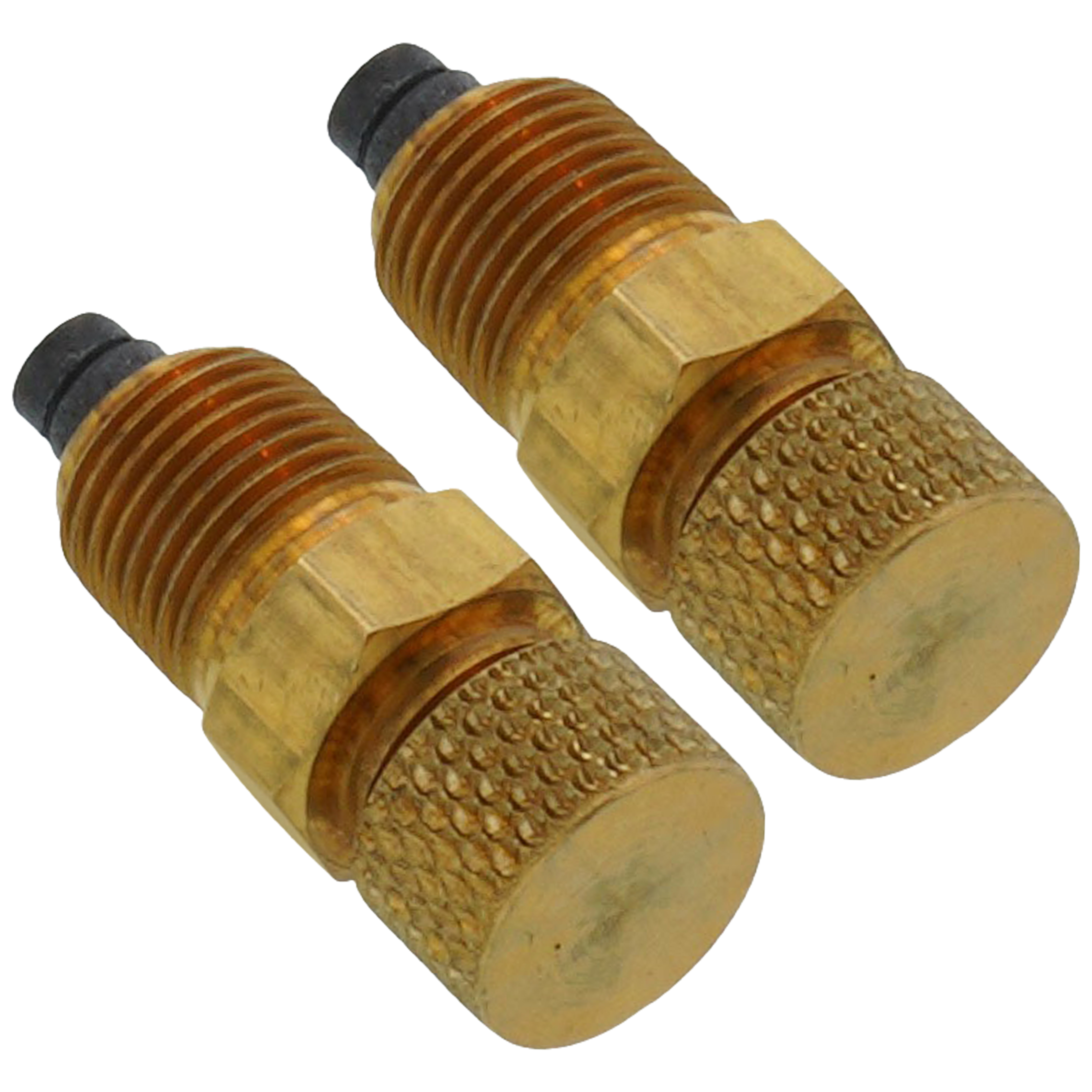 G97030 - Bell & Gossett G97030 - RV-125A Readout Valve (Set of 2)