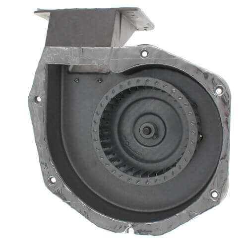 York S1-02435329000 115V Draft Inducer Assembly - SupplyHouse.com