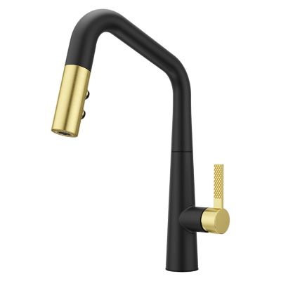 GT529-ASRBBG - Pfister GT529-ASRBBG - Asari 1-Handle Pull-Down