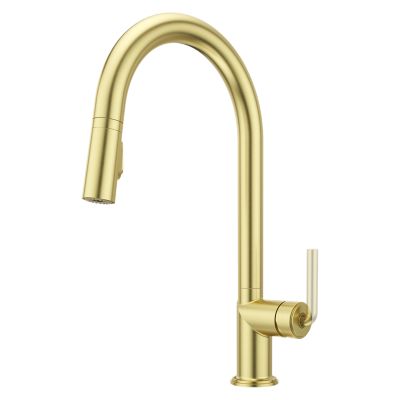 GT529-TNTBG - Pfister GT529-TNTBG - Tenet 1-Handle Pull-Down