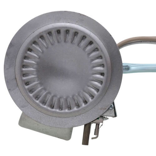 100112348 - AO Smith 100112348 - Burner Assembly