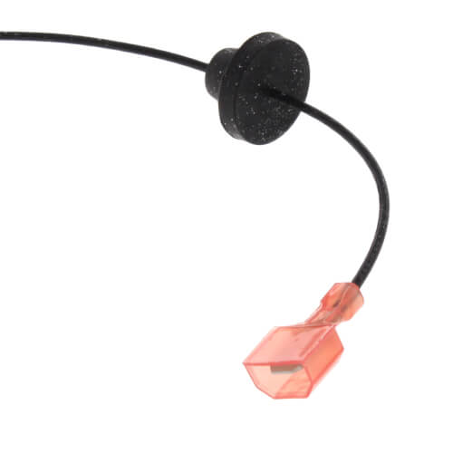100113153 - AO Smith 100113153 - Flame Sensor Wire Harness, 100113153