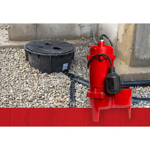 Red'sハイドロポンプ 14942748 - Red Lion Pumps 14942748 - RL-WC50TA 115V, 1/2 HP, 5600