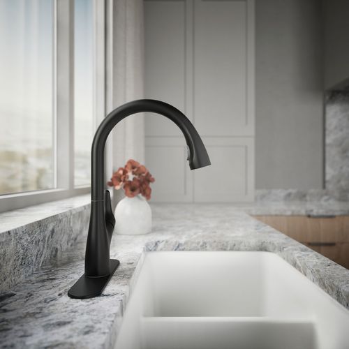 K-30469-BL - Kohler K-30469-BL - Rival 1-Handle Pull Down Kitchen