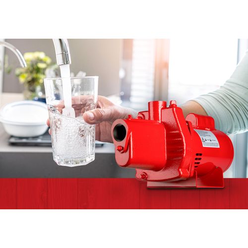 602206 - Red Lion Pumps 602206 - RJS-50-PREM 1/2 HP, 12 GPM, 115