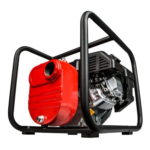 617032 - Red Lion Pumps 617032 - 5RLGF-8KRF Cast Iron Gas Engine