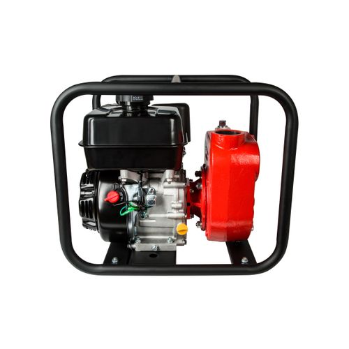 617032 - Red Lion Pumps 617032 - 5RLGF-8KRF Cast Iron Gas Engine