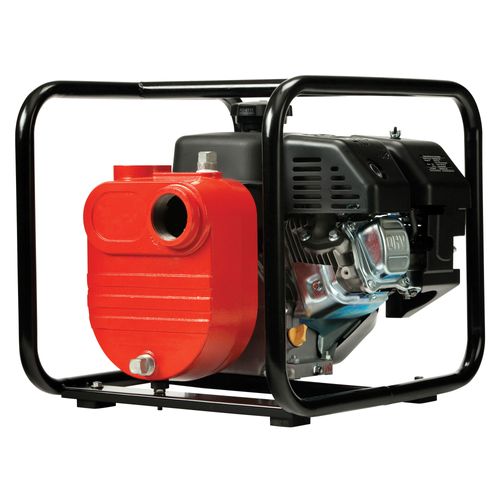 617032 - Red Lion Pumps 617032 - 5RLGF-8KRF Cast Iron Gas Engine