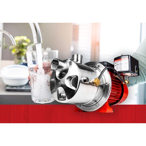 97080702 - Red Lion Pumps 97080702 - RJS-75SS 115/230V, 3/4 HP