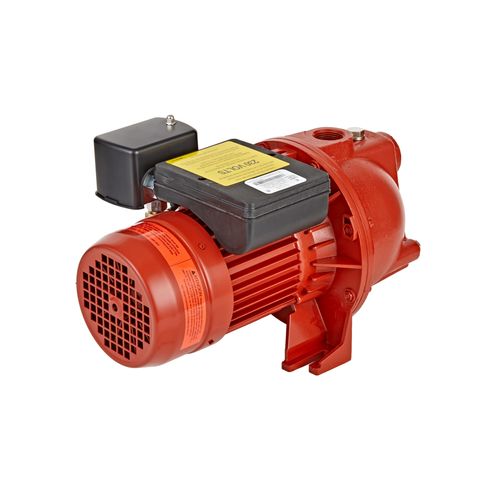 97081001 - Red Lion Pumps 97081001 - RL-SWJ100 1 HP, 17 GPM