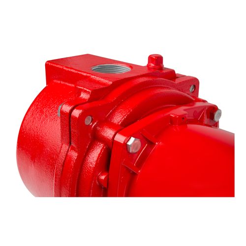 97101001 - Red Lion Pumps 97101001 - RL-SPRK100 115/230V, 1 HP 63