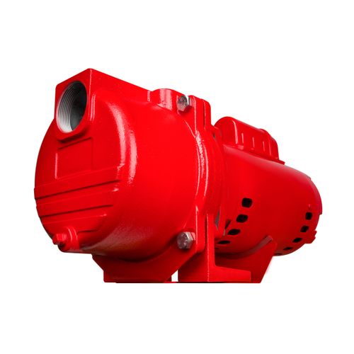 97102002 - Red Lion Pumps 97102002 - RL-SPRK-200-BR, 230V, 2HP, 77
