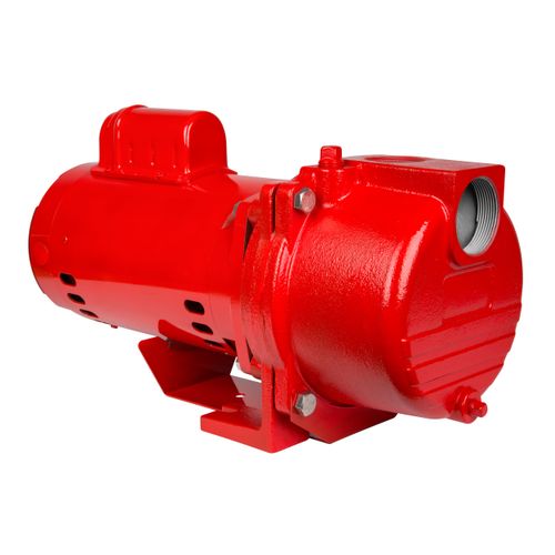 97102002 - Red Lion Pumps 97102002 - RL-SPRK-200-BR, 230V, 2HP, 77