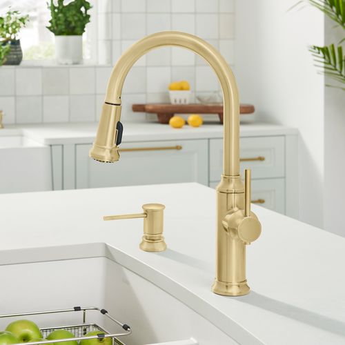442980 - Blanco 442980 - Empressa High Arc Pull-Down Dual-Spray