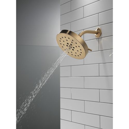 52488-CZ-PR - Delta 52488-CZ-PR - H2Okinetic 4-Setting Shower Head