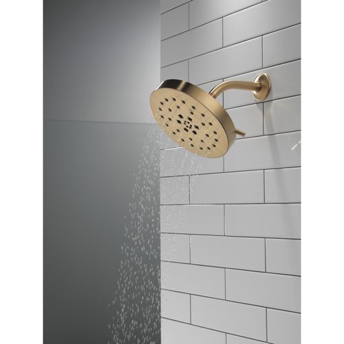 52488-CZ-PR - Delta 52488-CZ-PR - H2Okinetic 4-Setting Shower Head