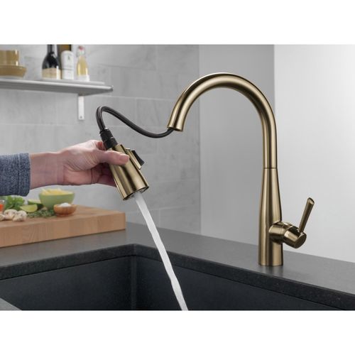 9113-CZ-DST - Delta 9113-CZ-DST - Essa Single Handle Pull-Down