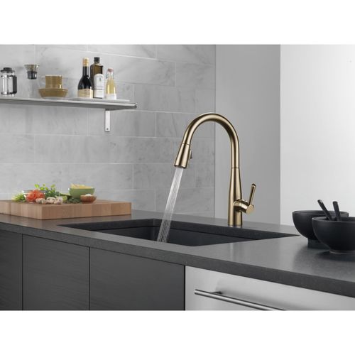 9113-CZ-DST - Delta 9113-CZ-DST - Essa Single Handle Pull-Down