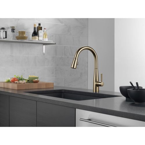 9113-CZ-DST - Delta 9113-CZ-DST - Essa Single Handle Pull-Down