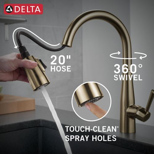 9113-CZ-DST - Delta 9113-CZ-DST - Essa Single Handle Pull-Down