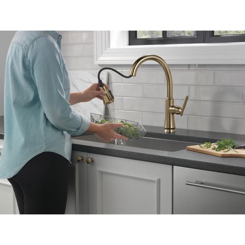 9179-CZ-DST - Delta 9179-CZ-DST - Coranto Single Handle Pull Down