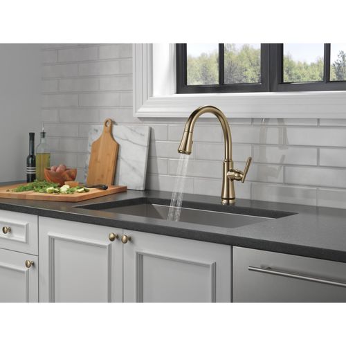 金鯱（D2） 9179-CZ-DST - Delta 9179-CZ-DST - Coranto Single Handle Pull Down