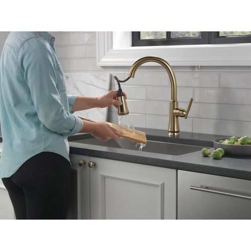 9179-CZ-DST - Delta 9179-CZ-DST - Coranto Single Handle Pull Down