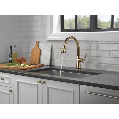 9179-CZ-DST - Delta 9179-CZ-DST - Coranto Single Handle Pull Down