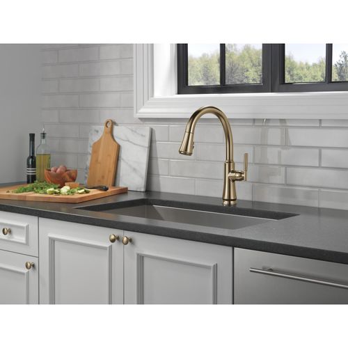 9179-CZ-DST - Delta 9179-CZ-DST - Coranto Single Handle Pull Down