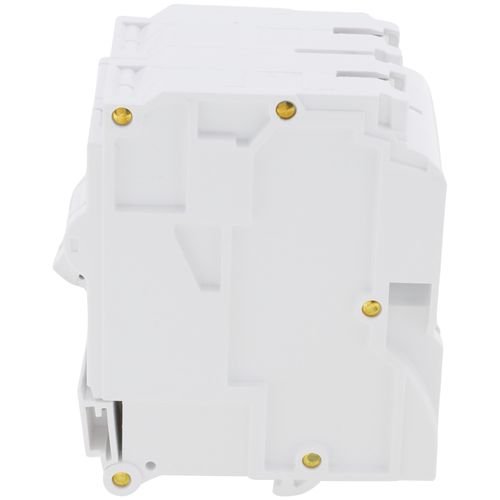 Leviton LB212 125A 2-poliger Steck-Schutzschalter – Hydraulisch-magnetisch, 120/240 VAC, Für Lastzentren