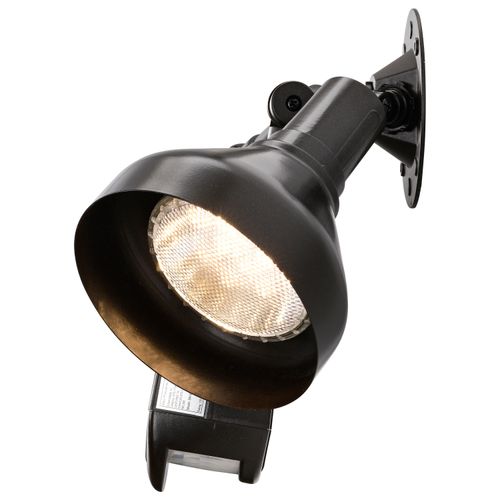 SF76-531 - Nuvo SF76-531 - 2 Light 14