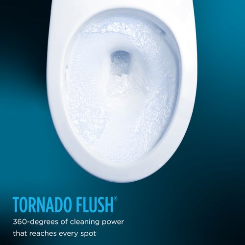 MW6424736CEFGA-01 - TOTO MW6424736CEFGA-01 - WASHLET+ Nexus One